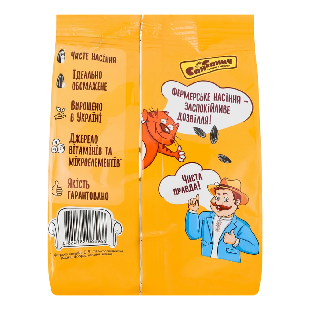 Насіння соняшника Сан Санич 110г. пак.